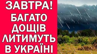 ДОЩІВ ТА ГРОЗ СТАНЕ БІЛЬШЕ : ПОГОДА НА 3 ДНІ