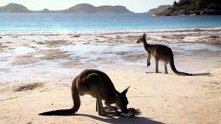 Destination WA - WA’s Regions – Australia’s Golden Outback