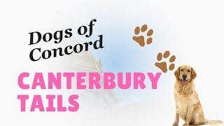 Dogs of Concord - S2 Ep5: Canterbury Tails