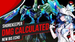 Shorekeeper DMG and New Echo Build Calculated Just For You | She Nukes | Vee Dizzy #wutheringwaves