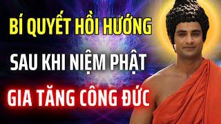Hồi Hướng Sau Khi Niệm Phật - Bí Quyết Giúp Phật Tử Tu Tại Gia Tăng Công Đức