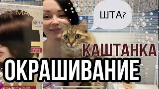 Бюджетное окрашивание. Белорусская  крем-краска для волос Miss Magic LUXE Colors.