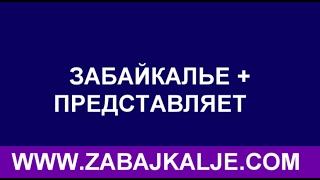 АЛКОГОЛИЗАЦИЯ В РОССИИ ПРОБЛЕМА И ЦЕНТРА И РЕГИОНОВ