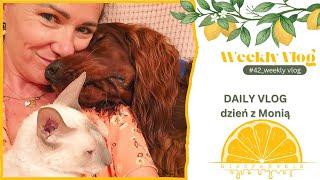 #42 DAILY VLOG dzień z Monią  WEEKLY VLOG