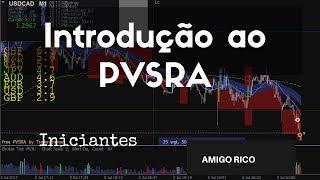 JAPA RICO: Uma breve introdução ao PVSRA