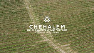 2021 Chehalem Mountains Pinot Gris