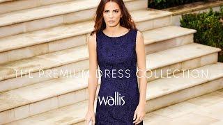 Wallis Premium Dress Collection