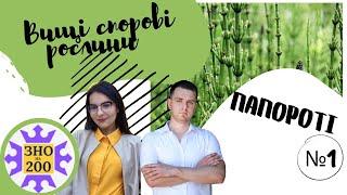 Вищі спорові рослини I Частина 1 I Папороті