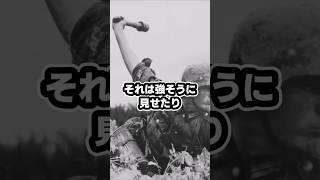 なぜナチスドイツ兵は戦場で袖をまくっていたのか#ゆっくり軍事 #ナチスドイツ #第2次世界大戦 #戦時服