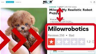 Milow Robot Puppy Review, Milow Robotics Scam Exposed!