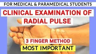 RADIAL PULSE EXAMINATION | CLINICAL LAB | PHYSIOLOGY PRACTICALS