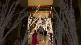 Christmas in New Orleans at The Roosevelt Hotel - A Holiday Walk #NewOrleans #Christmas