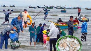 Mùa Nước Dâng Cao Biển Phước Tỉnh Long Hải║Ngon Lắm Món Hàu Bờ Kè Bên Gia Đình