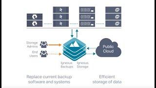 Igneous DataProtect: Backup as-a-Service