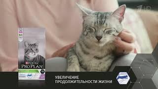 Purina Pro Plan - Реклама