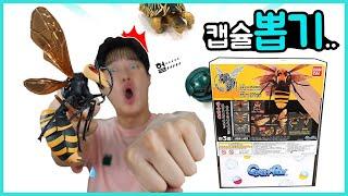 진짜 리얼한 말벌 캡슐뽑기 리뷰 ㅋㅋ | 히히튜브
