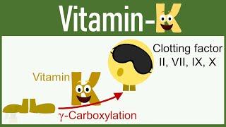 Vitamin K: Functions, Mechanism of Action, Deficiency etc