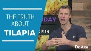 Is Tilapia Unhealthy? The Truth About This Farmed Fish