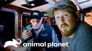 Tripulações do Time Bandit e do Cornelia Marie se ajudam | Pesca Mortal | Animal Planet Brasil