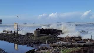 Seaside Cove 1/3/22 at high tide.