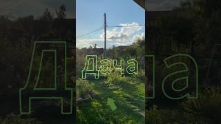 Мысли о даче. #reels #дача #огород #memes #humor #tutorial #forest #funny