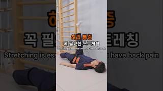 허리 통증에 꼭 필요한 스트레칭 #허리통증 #허리통증운동 #허리통증완화 #허리통증스트레칭 #허리에좋은운동 #햄스트링 #햄스트링스트레칭 #동적스트레칭 #코어강화 #backpain