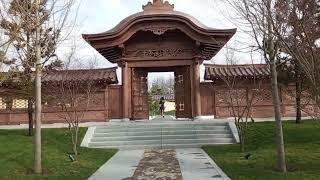 Открытие Японского сада в Краснодаре