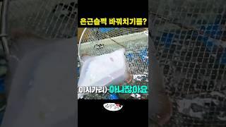 전문가한테 사기치려다 딱 걸림