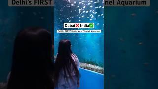 Delhi’s FIRST Underwater Tunnel AQUARIUM #shorts #trending