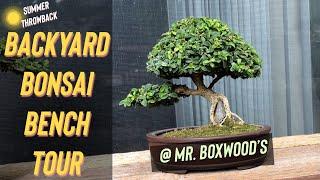 Backyard Bonsai Bench Tour - At Mr. Boxwood's