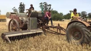 Vintage Harvest 2015 Australia