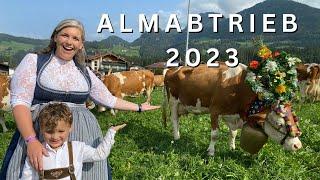 Americans visit an Almabtrieb | Reith im Alpbachtal