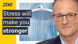 Dr Michael Mosley: Do Cold Showers Make You Happier? 4 Habits That Improved My Health