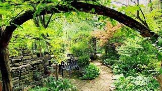 Colorful Woodland Garden, Berea, USA