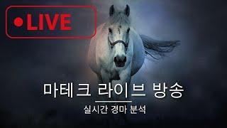 [실시간 경마 분석] 10월 4일 금요경마 (제주경마 2부산 2.3.5.8)