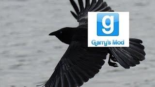 Gmod-Parakeet Pills Mod