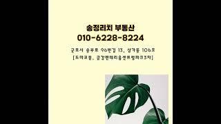 군포 도마교동 송정리치 대표공인중개사는 믿음과 정성, 신뢰로 중개합니다.[010-6228-8224]