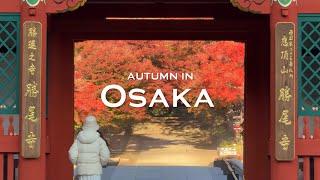 Osaka in autumn  | minoh falls, katsuoji temple, red maple leaves | JAPAN vlog