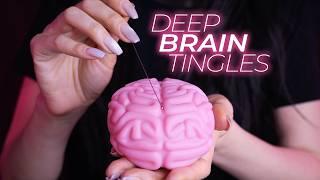 ASMR FEEL the Tingles Inside Your Brain (No Talking)