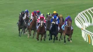 Chester Manifold Stakes 2024 - LIGHT INFANTRY MAN (Hcp LR) Listed Flemington 7 November