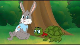 le Lièvre et la Tortue | Fable de La Fontaine |  dessin animé en français avec les P'tits z'Amis