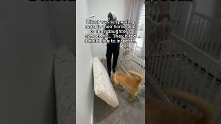 Suspected mold? Cooper found it in the daughter's room & laundry!  #Mold #HiddenMold #MoldDogUSA