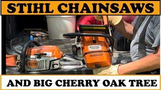 Stihl Chainsaws Taking on Big Fire Wood ! #tractor #chainsaw #firewood #wood