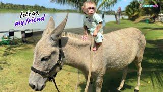 Kyo creates a buzz at the sheep farm – Everyone wants a photo!