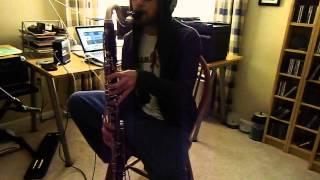 Slayer - Angel of Death (clarinet cover) solo at 3:37