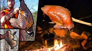 Pheasant Hunting Catch & Cook -  Truck Camping Overnight in the Woods