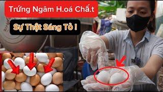 Nóng: Đã Tìm Ra TRỨNG GIẢ NGÂM H.OÁ C.HẤT sự thật đã sáng tỏ