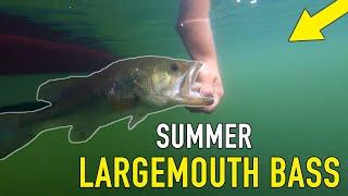 Fishing Bladed Jigs in Michigan for Largemouth Bass - Late Summer Tips