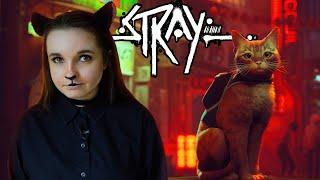 Огляд Stray - Котячий кіберпанк, або найкраща гра про котика!