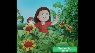 The Spots - Beginners (Step 2) - Class Nursery - School - Kids Learning Story